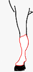 balzana